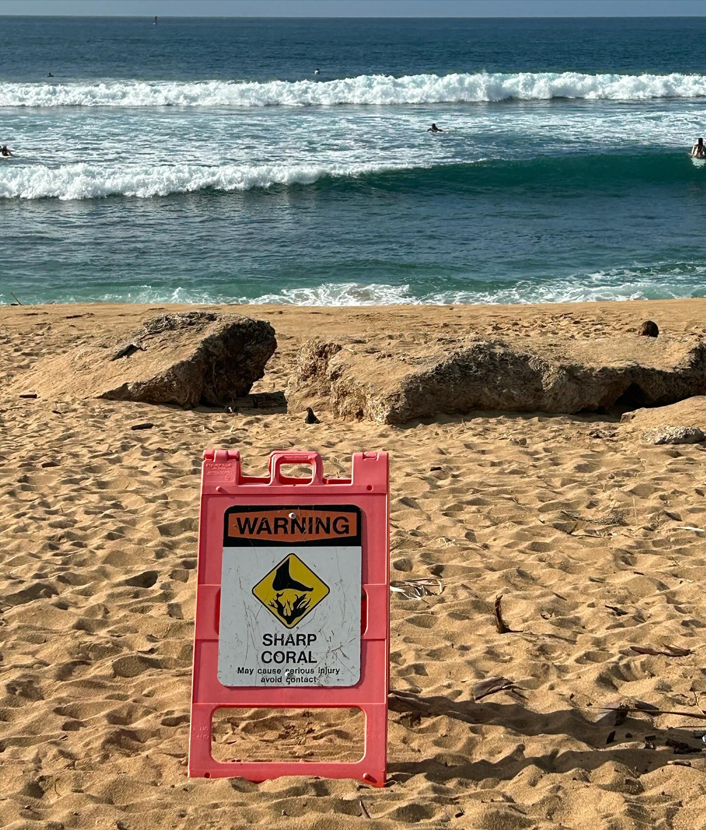 🏝️